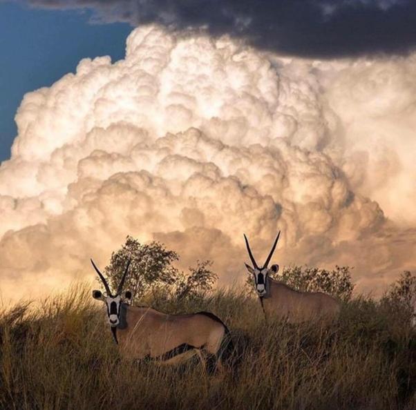 Weltevreden Game Lodge Bloemfontein Ngoại thất bức ảnh