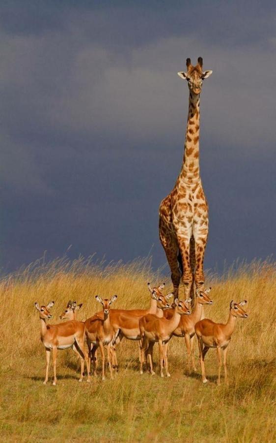 Weltevreden Game Lodge Bloemfontein Ngoại thất bức ảnh