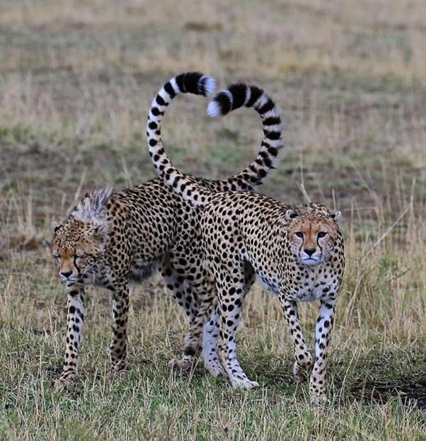 Weltevreden Game Lodge Bloemfontein Ngoại thất bức ảnh