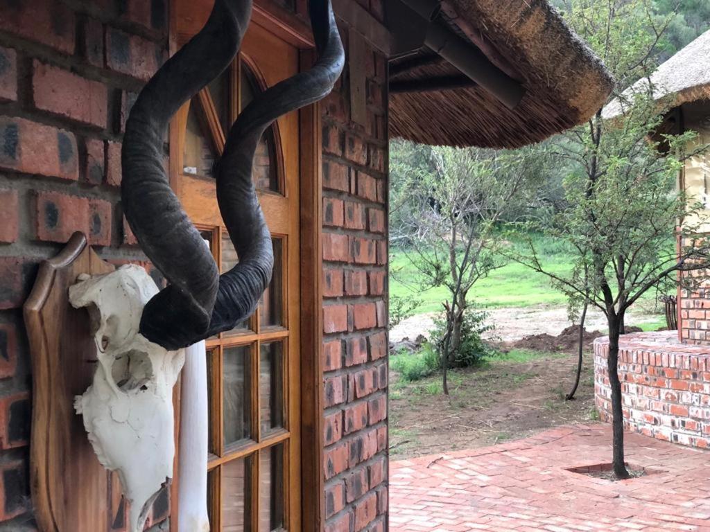 Weltevreden Game Lodge Bloemfontein Ngoại thất bức ảnh